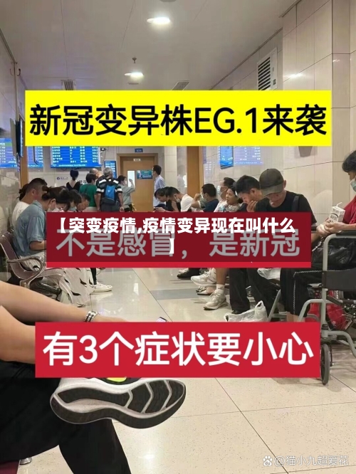 【突变疫情,疫情变异现在叫什么】-第3张图片