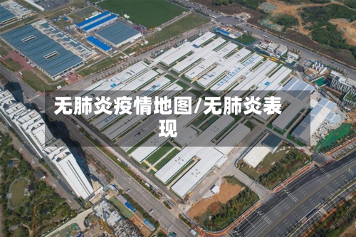 无肺炎疫情地图/无肺炎表现-第1张图片