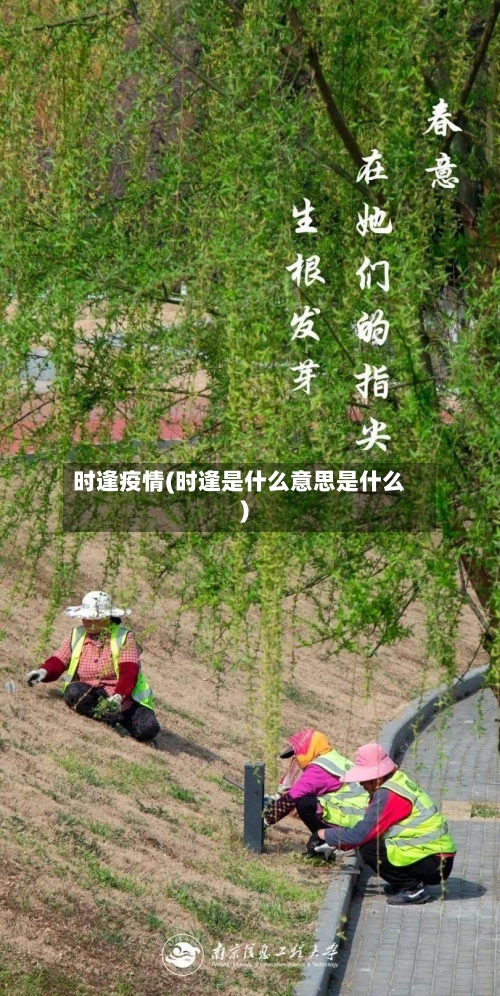 时逢疫情(时逢是什么意思是什么)-第2张图片