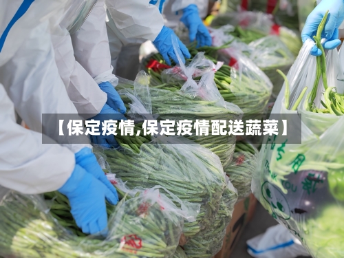 【保定疫情,保定疫情配送蔬菜】-第1张图片