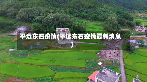 平远东石疫情(平远东石疫情最新消息)-第1张图片