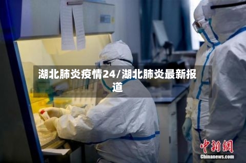 湖北肺炎疫情24/湖北肺炎最新报道-第2张图片