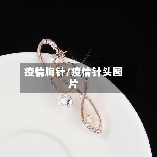疫情胸针/疫情针头图片-第1张图片