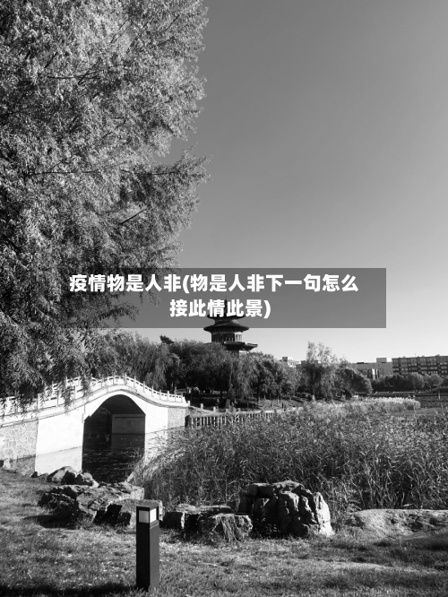 疫情物是人非(物是人非下一句怎么接此情此景)-第1张图片