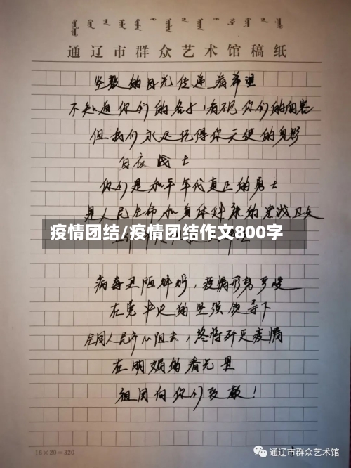 疫情团结/疫情团结作文800字-第1张图片