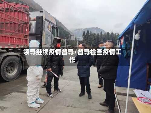 领导继续疫情督导/督导检查疫情工作-第1张图片