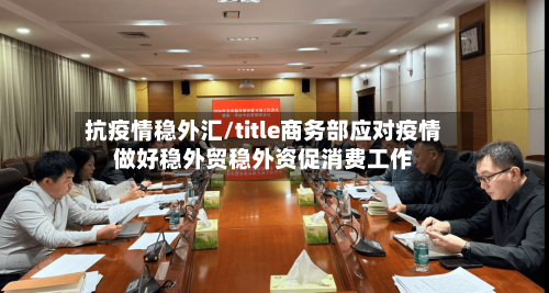 抗疫情稳外汇/title商务部应对疫情做好稳外贸稳外资促消费工作-第2张图片