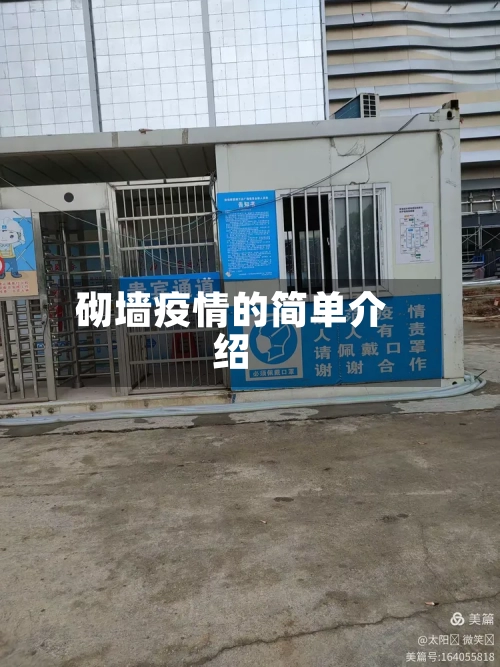 砌墙疫情的简单介绍-第3张图片