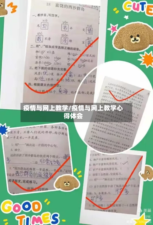 疫情与网上教学/疫情与网上教学心得体会-第1张图片