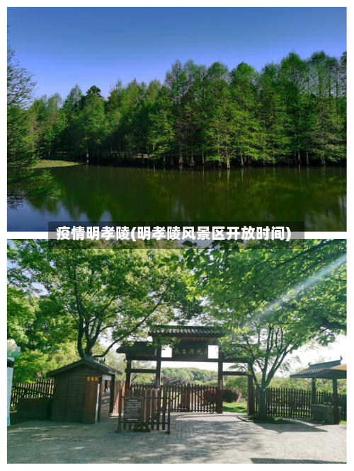 疫情明孝陵(明孝陵风景区开放时间)-第1张图片