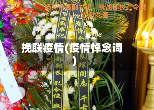 挽联疫情(疫情悼念词)-第1张图片
