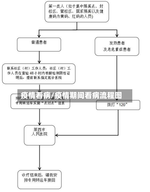 疫情看病/疫情期间看病流程图-第1张图片