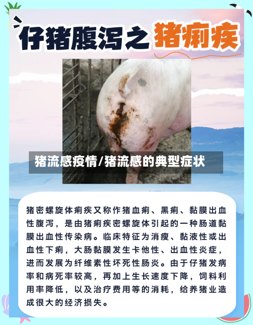 猪流感疫情/猪流感的典型症状-第1张图片