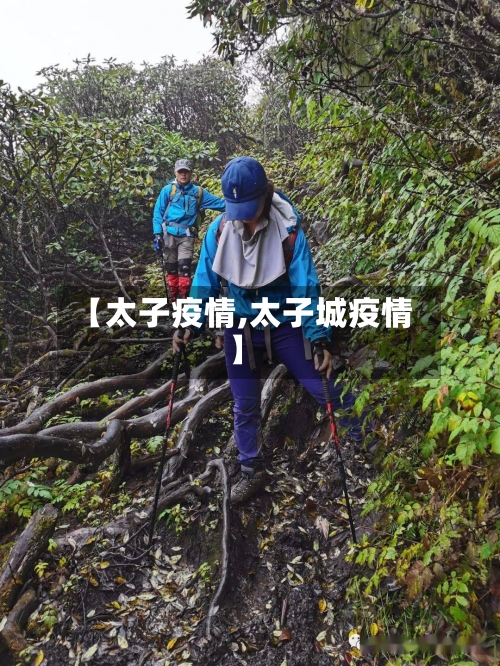 【太子疫情,太子城疫情】-第3张图片