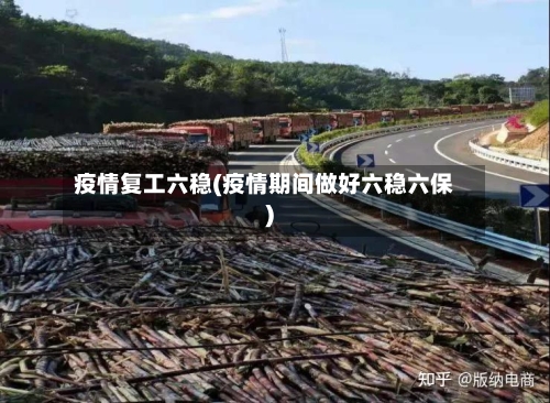 疫情复工六稳(疫情期间做好六稳六保)-第1张图片