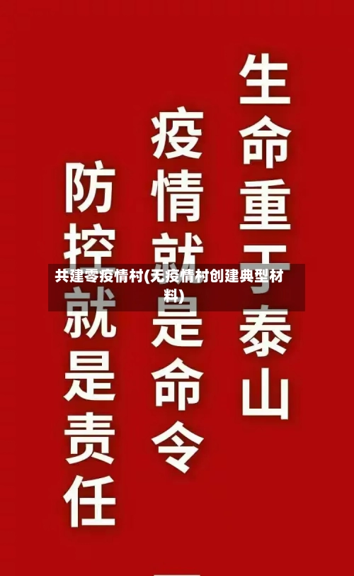 共建零疫情村(无疫情村创建典型材料)-第1张图片