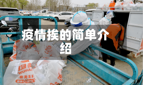 疫情挨的简单介绍-第1张图片