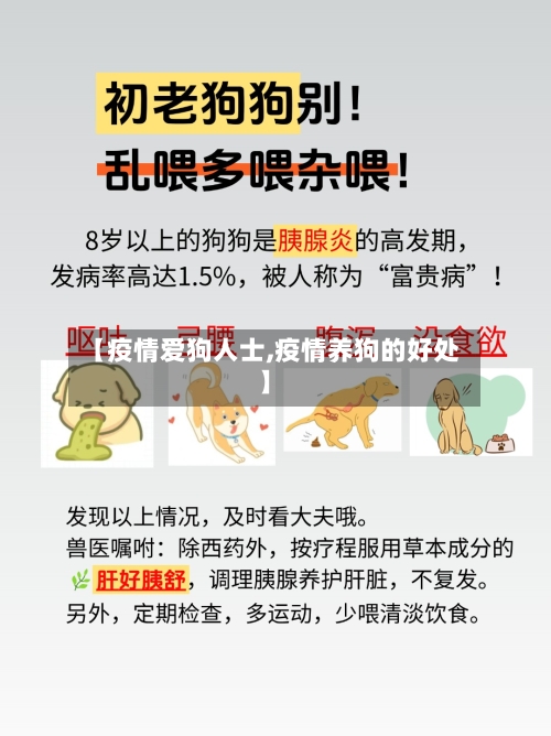 【疫情爱狗人士,疫情养狗的好处】-第1张图片