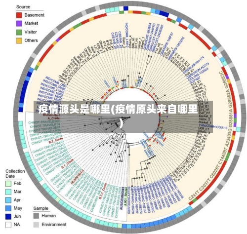 疫情源头是哪里(疫情原头来自哪里)-第1张图片