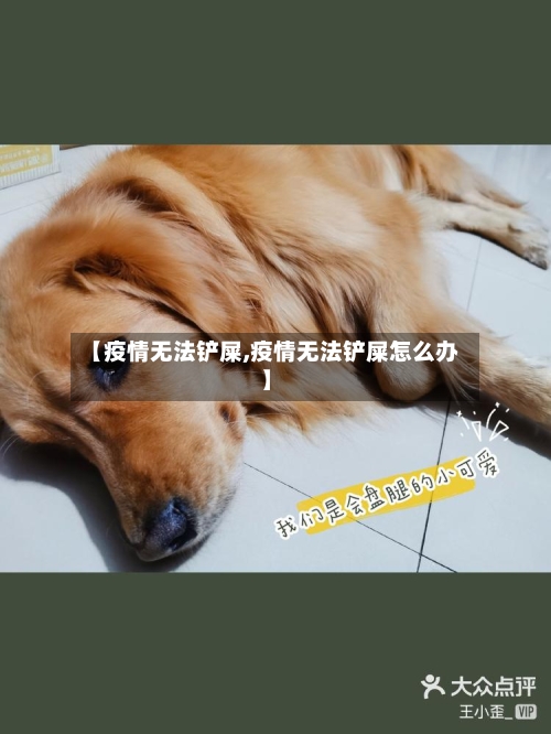 【疫情无法铲屎,疫情无法铲屎怎么办】-第1张图片