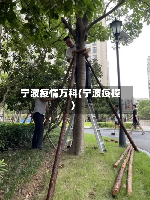 宁波疫情万科(宁波疫控)-第3张图片