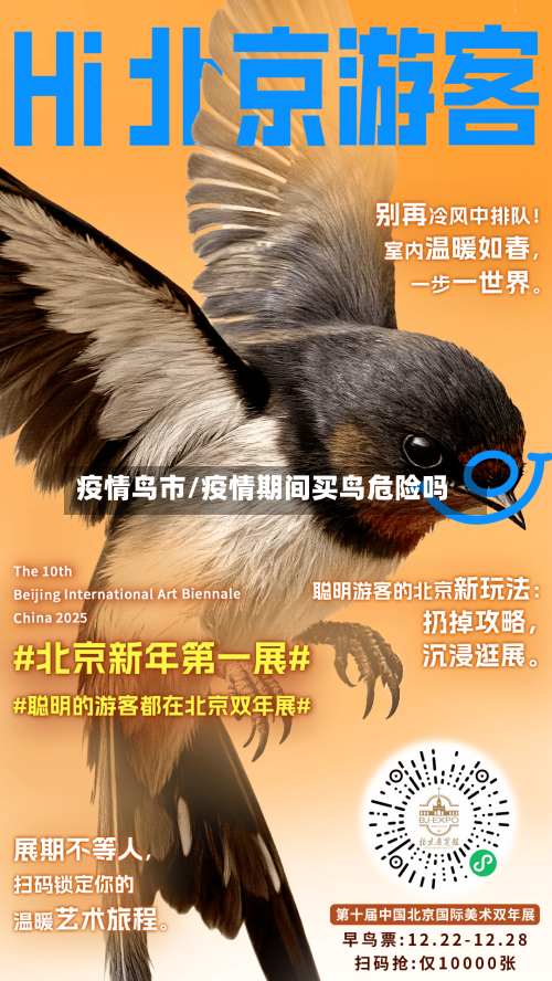 疫情鸟市/疫情期间买鸟危险吗-第1张图片