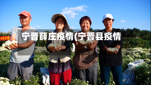 宁晋薛庄疫情(宁晋县疫情)-第1张图片