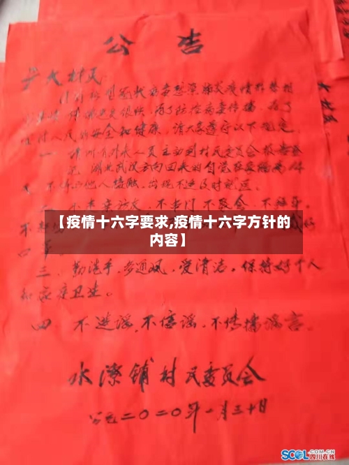 【疫情十六字要求,疫情十六字方针的内容】-第2张图片