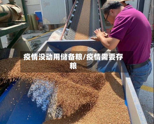 疫情没动用储备粮/疫情需要存粮-第1张图片