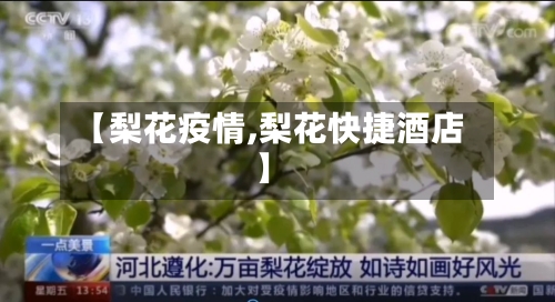【梨花疫情,梨花快捷酒店】-第1张图片