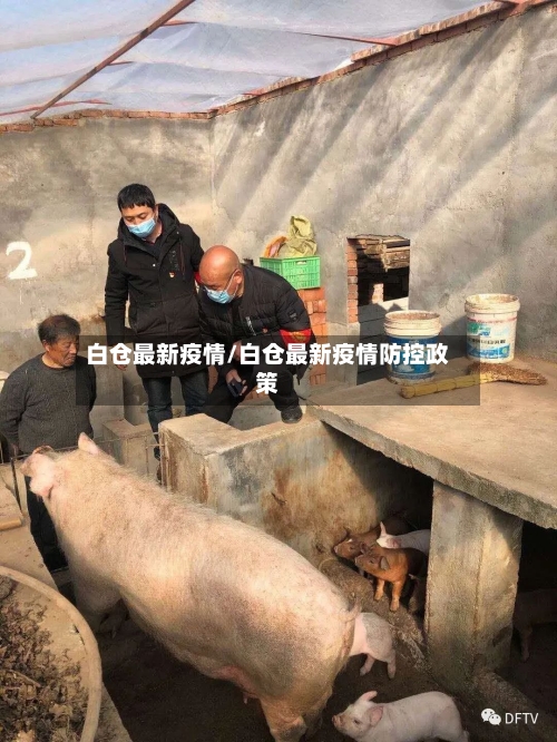 白仓最新疫情/白仓最新疫情防控政策-第3张图片