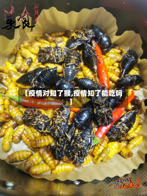 【疫情对知了猴,疫情知了能吃吗】-第1张图片